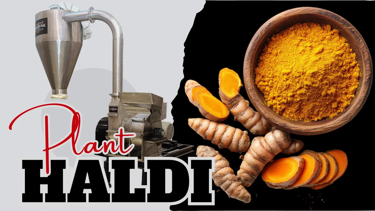 Haldi Powder Machine in Indore for Commercial Turmeric Processing